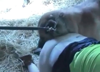 Lovely puppy gets fucked on the farm