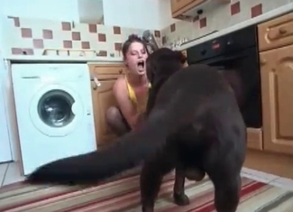 Zoo fuck session in the kitchen