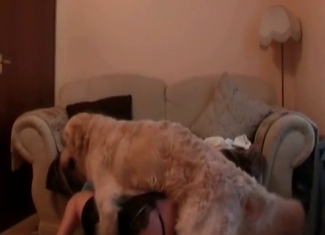 Watch a slut fucking with a dog