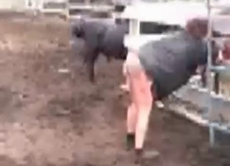 Pervert is fucking a horse outdoors