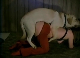 Sexy babe is being fucked by a farm beast