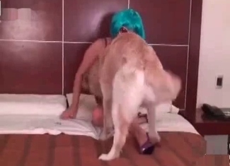 Watch a puppy banging a chick