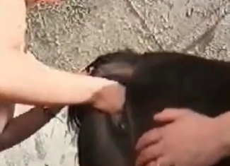 Hot chick is fucking with a stallion