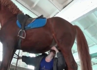 Dirty stallion is fucking a zoophile