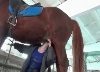 Dirty stallion is fucking a zoophile