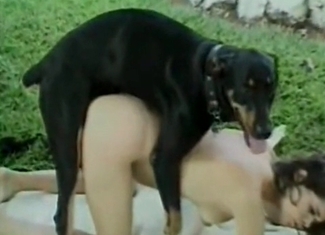 Big doggy is fucking with a whore