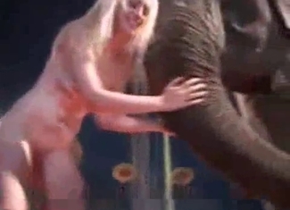 Dirty pervert is fucking with an elephant