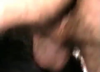 Little stallion is enjoying an anal sex