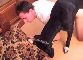 Dirty guy is enjoying an anal fuck with a dog