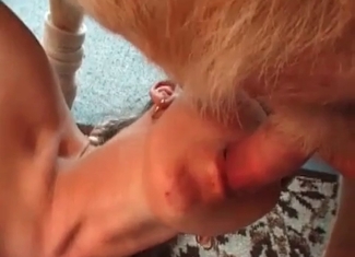 Dirty babe is tasting a beast's penis