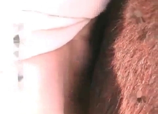 Asian slut is licking her puppy's balls wildly