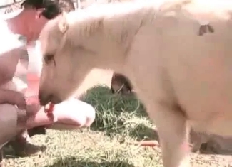 Asian slut is licking her puppy's balls wildly
