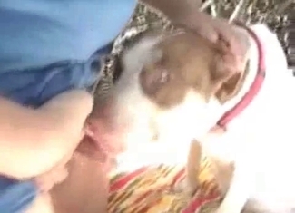 Shoving my palm in a tight ass of a doggy
