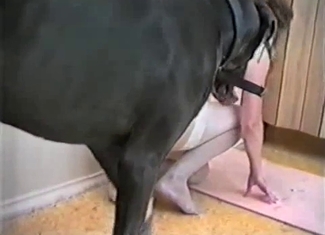 Slender babe and black beast fuck hard