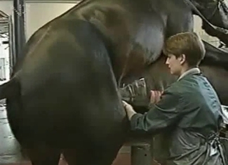 Big black stallion bangs a fucking machine