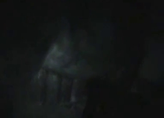 Filthy night bestiality at the local farm
