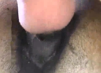 Sticking my hard dick in horse asshole