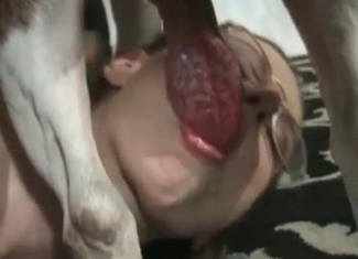 Nerdy slut sucking on a dog cock