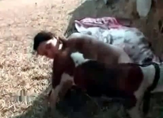 Dirty pervert is giving a blowjob to a puppy