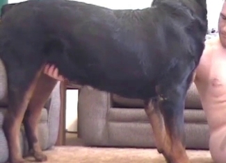 This man is fond of sucking beasts' cocks