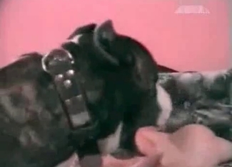 Busty blonde is playing with her pet wildly