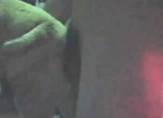 Ass fucking clip featuring a dirty puppy