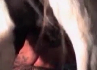 Dirty horse is satisfying a chubby whore