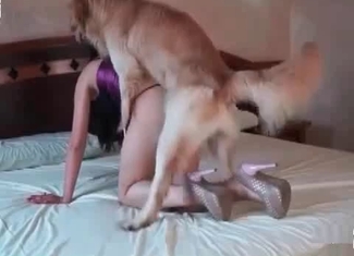 Sensual girl loves fucking with her puppy
