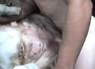 Filthy beast is enjoying an anal fuck