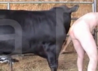 Massive beast is banging a pervert