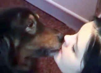 Sweet whore is jerking a beast's dick
