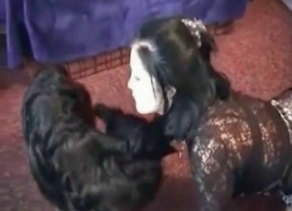 Sweet whore is jerking a beast's dick