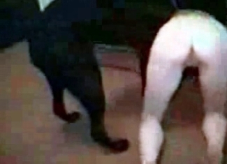 Dirty slut is having a sex with a black hound