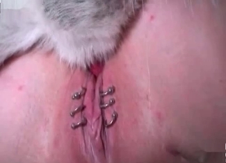 Passionate hound is banging a pierced slut