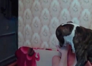 MILF is fucking with a passionate hound