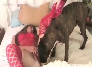 Lovely model is a great fan of a zoo sex