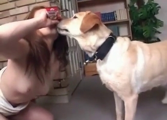Skillful doggy is giving a cunnilingus to a babe