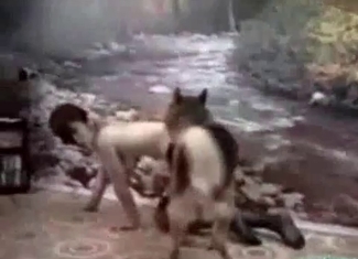 Wild doggy is banging a zoophile hard