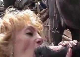 Lovely girl is tasting a beast's cock