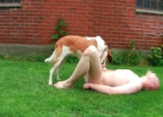 Wild pet is banging its owner so hard