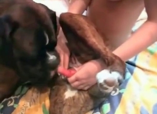 Fall in love with a dick of this doggy