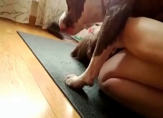 Ass fucking clip starring a small doggy