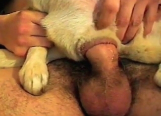Rough ass fucking session with a hound