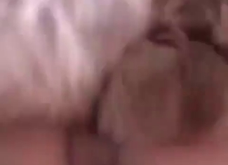 Sensual model is making her puppy lick her twat