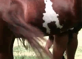 Dirty lady is playing with a massive horse