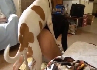 Dog with brown spots drills a dirty owner