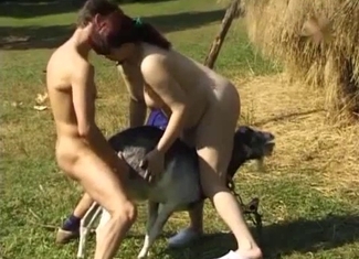 Zoophile is stimulating a tight animal anus