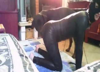 Hardcore sex in doggy pose with doberman