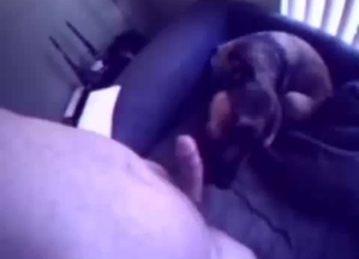 Dude wants his dog to suck his cock