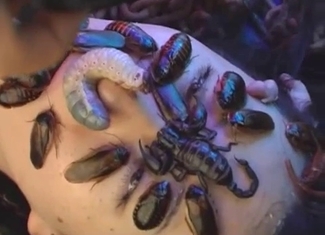 Crazy zoo XXX with maggots and cockroaches